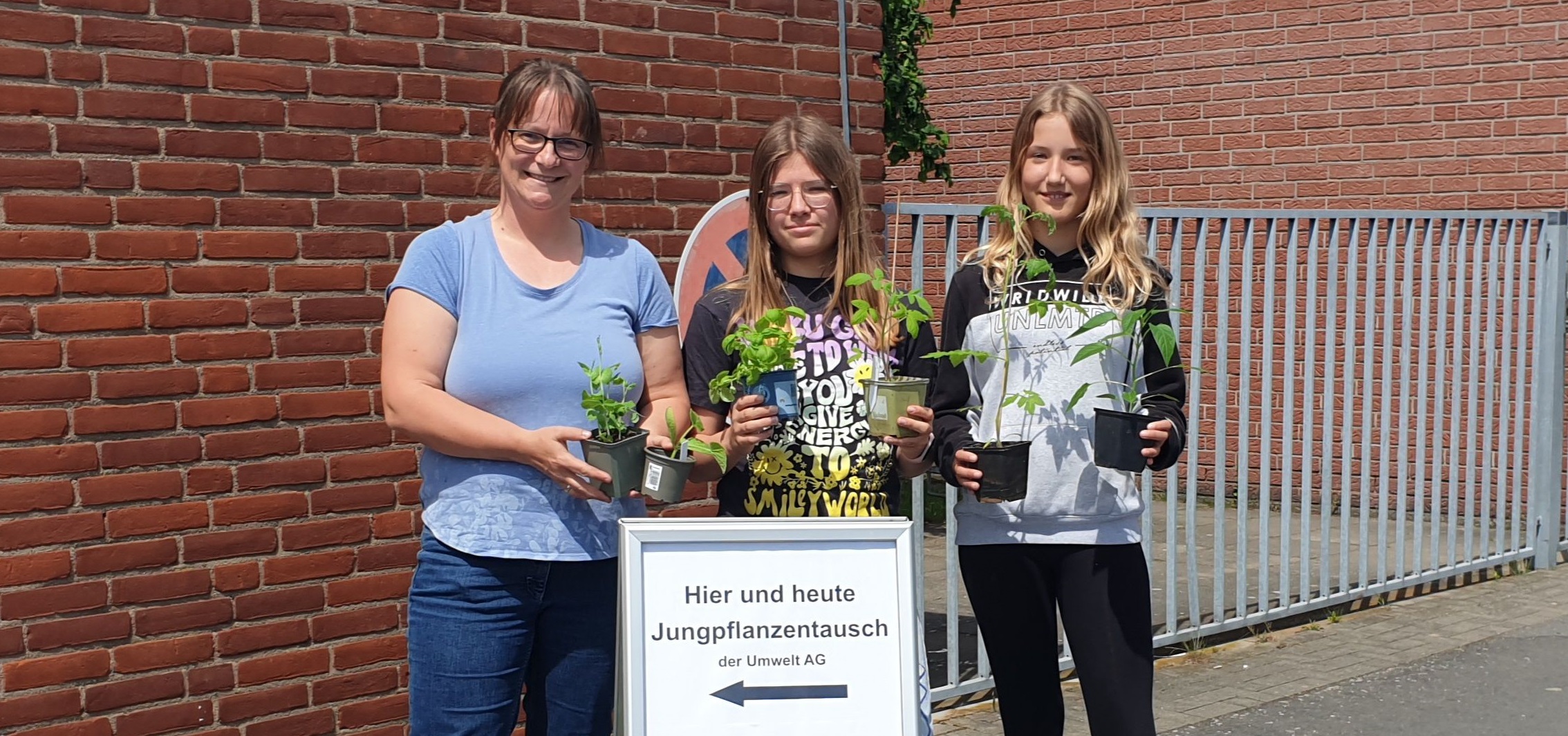 Jungpflanzen für den Förderverein
